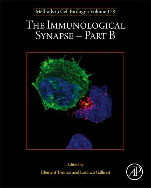 The Immunological Synapse - Part B de Clément Thomas