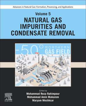 Advances in Natural Gas: Formation, Processing, and Applications. Volume 5: Natural Gas Impurities and Condensate Removal de Mohammad Reza Rahimpour