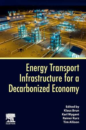 Energy Transport Infrastructure for a Decarbonized Economy de Klaus Brun