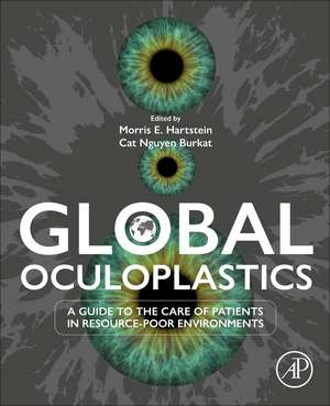 Global Oculoplastics: A Guide to the Care of Patients in Resource-Poor Environments de Morris E Hartstein