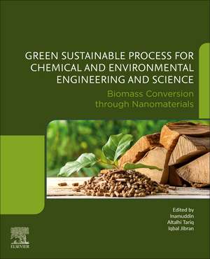 Biomass Conversion through Nanomaterials: Green Sustainable Process for Chemical and Environmental Engineering and Science (GSPCEES) de Tariq Altalhi