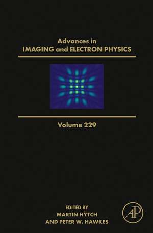 Advances in Imaging and Electron Physics de Peter W. Hawkes