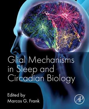 Glial Mechanisms in Sleep and Circadian Biology de Marcos G. Frank