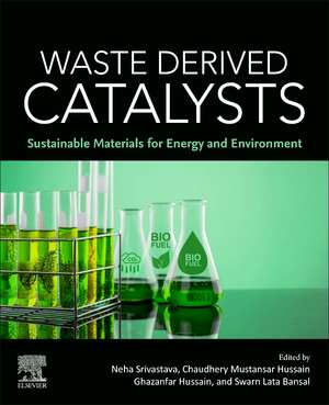 Waste Derived Catalysts: Sustainable Materials for Energy and Environment de Chaudhery Mustansar Hussain