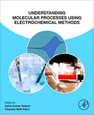 Understanding Molecular Processes using Electrochemical Methods de Ashis Kumar Satpati