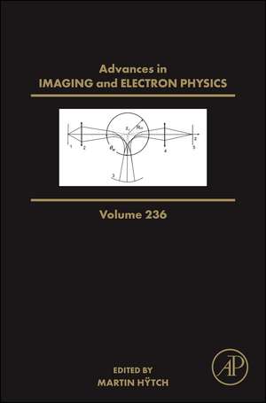 Advances in Imaging and Electron Physics de Martin Hÿtch