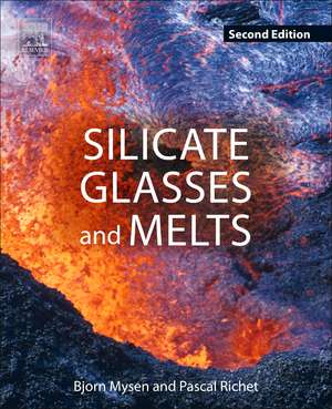 Silicate Glasses and Melts de Bjorn Mysen