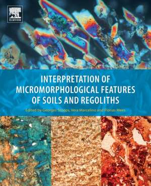 Interpretation of Micromorphological Features of Soils and Regoliths de Georges Stoops