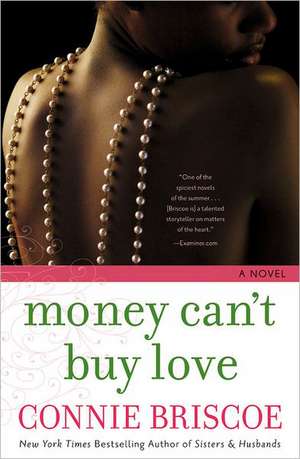 Money Can't Buy Love de Connie Briscoe