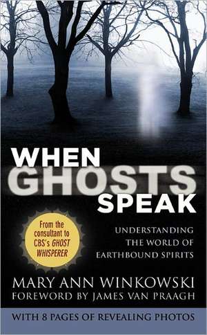 When Ghosts Speak: Understanding the World of Earthbound Spirits de Mary Ann Winkowski