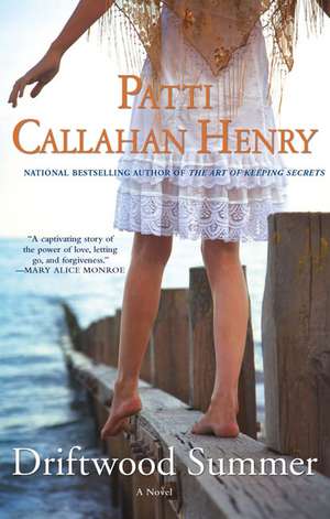 Driftwood Summer de Patti Callahan Henry