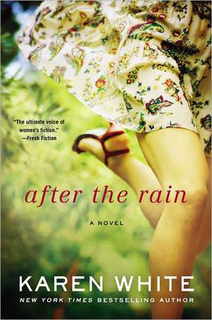 After the Rain de Karen White