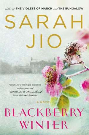 Blackberry Winter de Sarah Jio