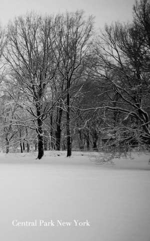 Central Park New York Journal de Michael Huhn