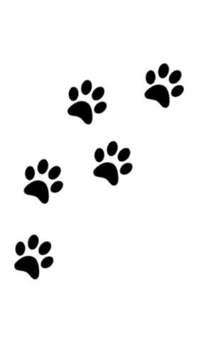 dog paw print Writing Drawing Journal de Michael Huhn