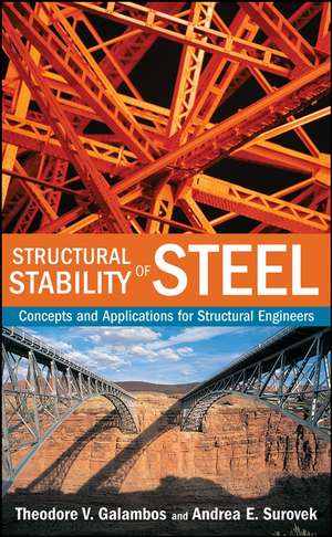 Structural Stability of Steel – Concepts and Applications for Structural Engineers de TV Galambos