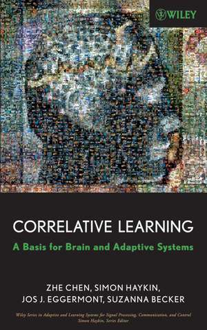 Correlative Learning de Zhe Chen