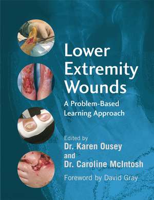 Lower Extremity Wounds – A Problem–Based Learning Approach de K Ousey