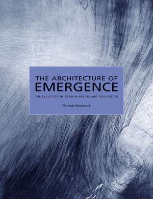 The Architecture of Emergence – The Evolution of Form in Nature and Civilisation de M Weinstock