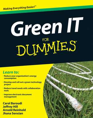 Green IT For Dummies de C Baroudi