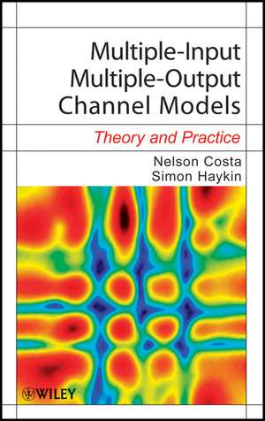 Multiple–Input Multiple–Output Channel Models – Theory and Practice de N Costa