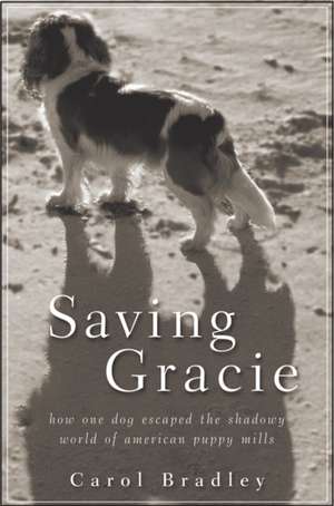 Saving Gracie de Carol Bradley