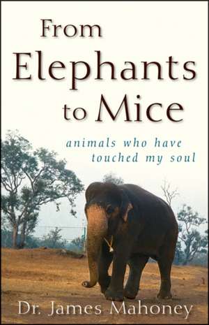 From Elephants to Mice: Animals Who Have Touched My Soul de James Mahoney