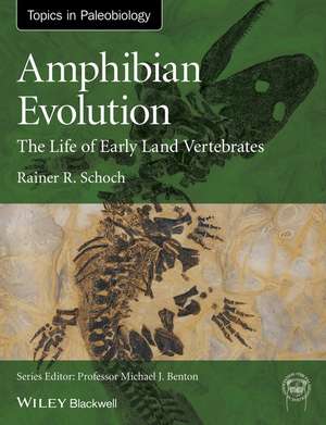 Amphibian Evolution de Rainer R Schoch