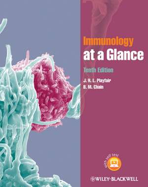 Immunology at a Glance 10e de J Playfair