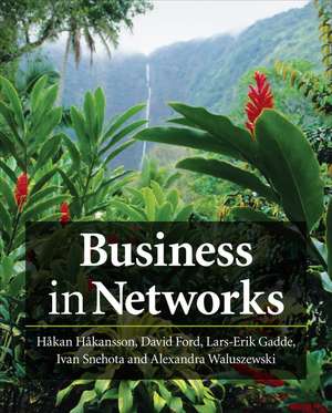 Business in Networks de H Hakansson