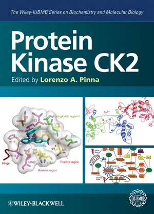 Protein Kinase CK2 (The Wiley–IUBMB Series on Biochemistry and Molecular Biology) de L Pinna