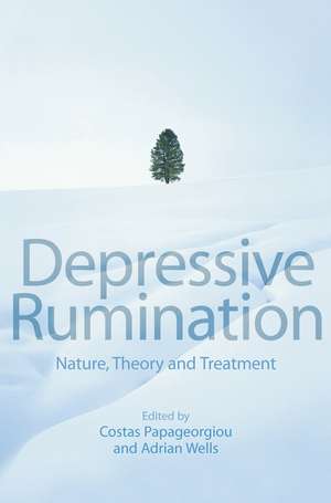 Depressive Rumination – Nature, Theory and Treatment de C Papageorgiou