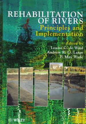 Rehabilitation of Rivers – Principles & Implementation de LC De Waal