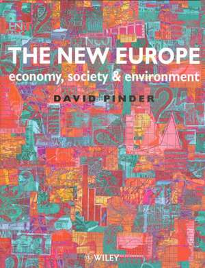 The New Europe – Economy, Society & Environment de D Pinder