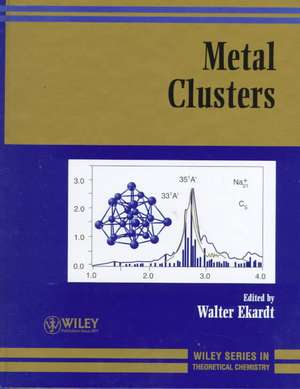 Metal Clusters de W Ekardt