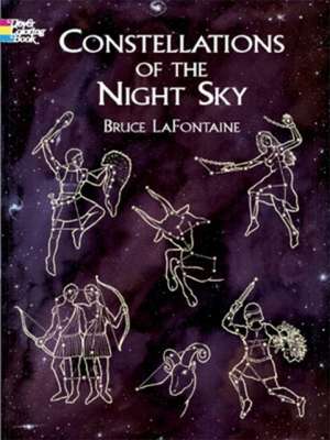 Constellations of the Night Sky de Bruce LaFontaine