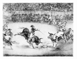 Great Goya Etchings: The Proverbs, the Tauromaquia and the Bulls of Bordeaux de Francisco Goya