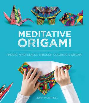 Meditative Origami de John Montroll