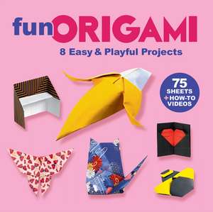 Fun Origami de Nick Robinson