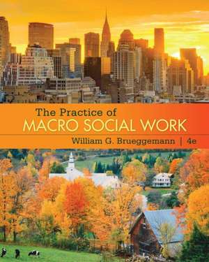 The Practice of Macro Social Work de William G. Brueggemann