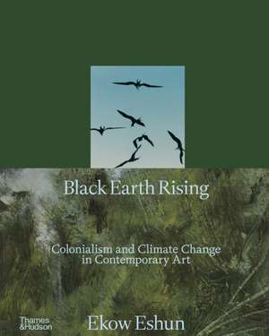 Black Earth Rising de Ekow Eshun