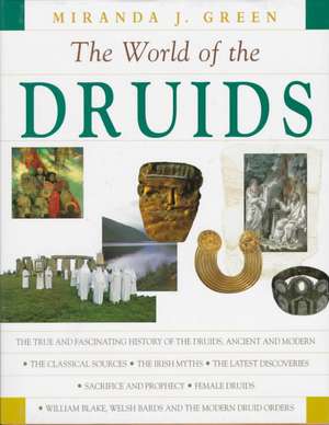 EXPLORING THE WORLD OF THE DRUIDS de Miranda J. Green