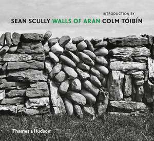 Sean Scully de Colm Tòibìn