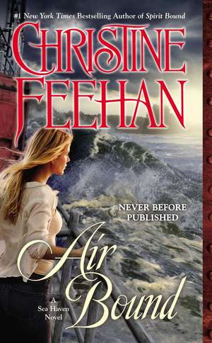 Air Bound: Magic Man de Christine Feehan