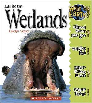 Life in the Wetlands de Carolyn Scrace