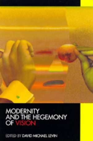 Modernity & the Hegemony of Vision (Paper) de David Michael Levin