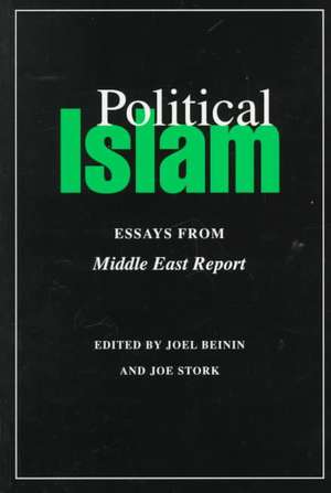 Political Islam – Essays from Middle East Report de Joel Beinin