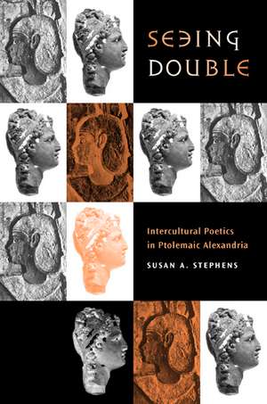 Seeing Double de Susan A. Stephens