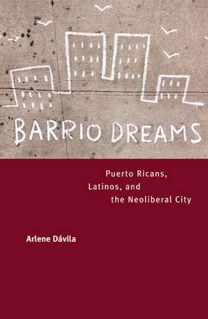 Barrio Dreams de Arlene Dávila