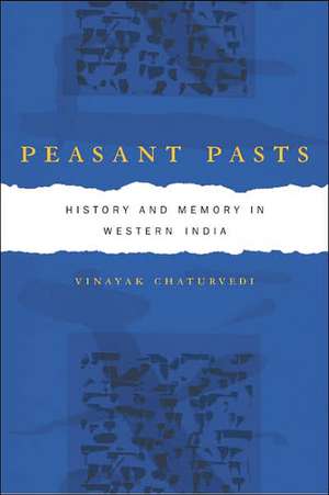 Peasant Pasts de Vinayak Chaturvedi